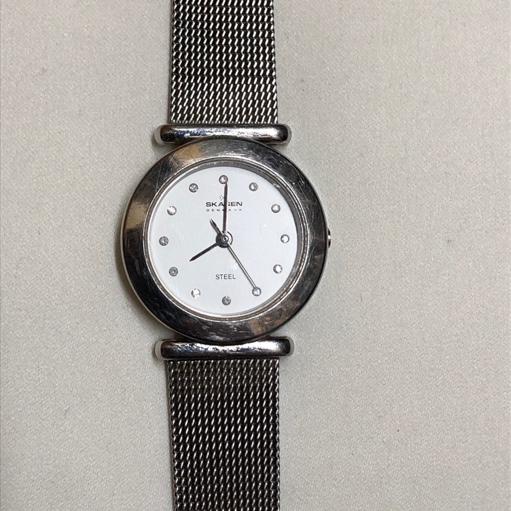 Stainless Steel Skagen Watch